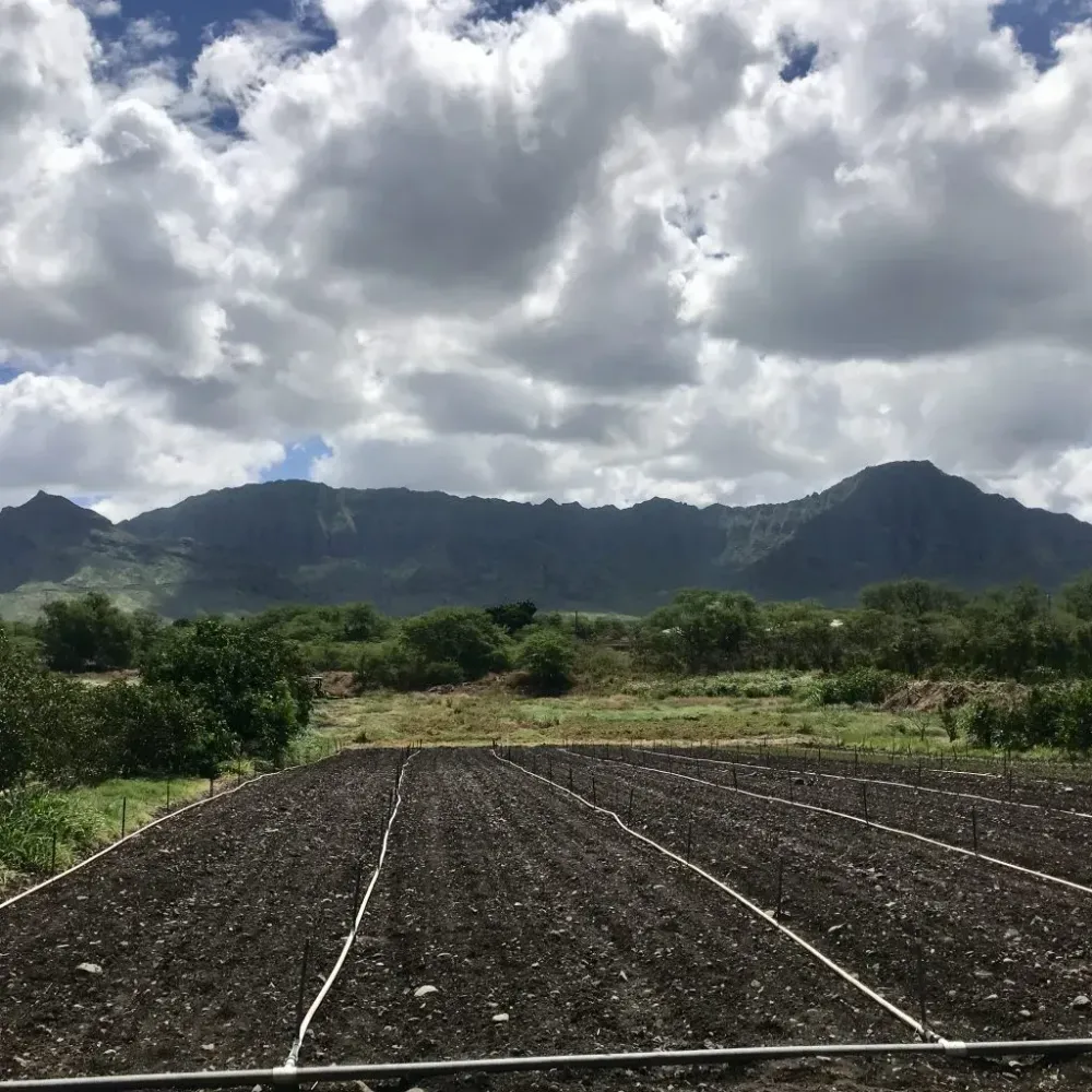 farm land on hawaii.